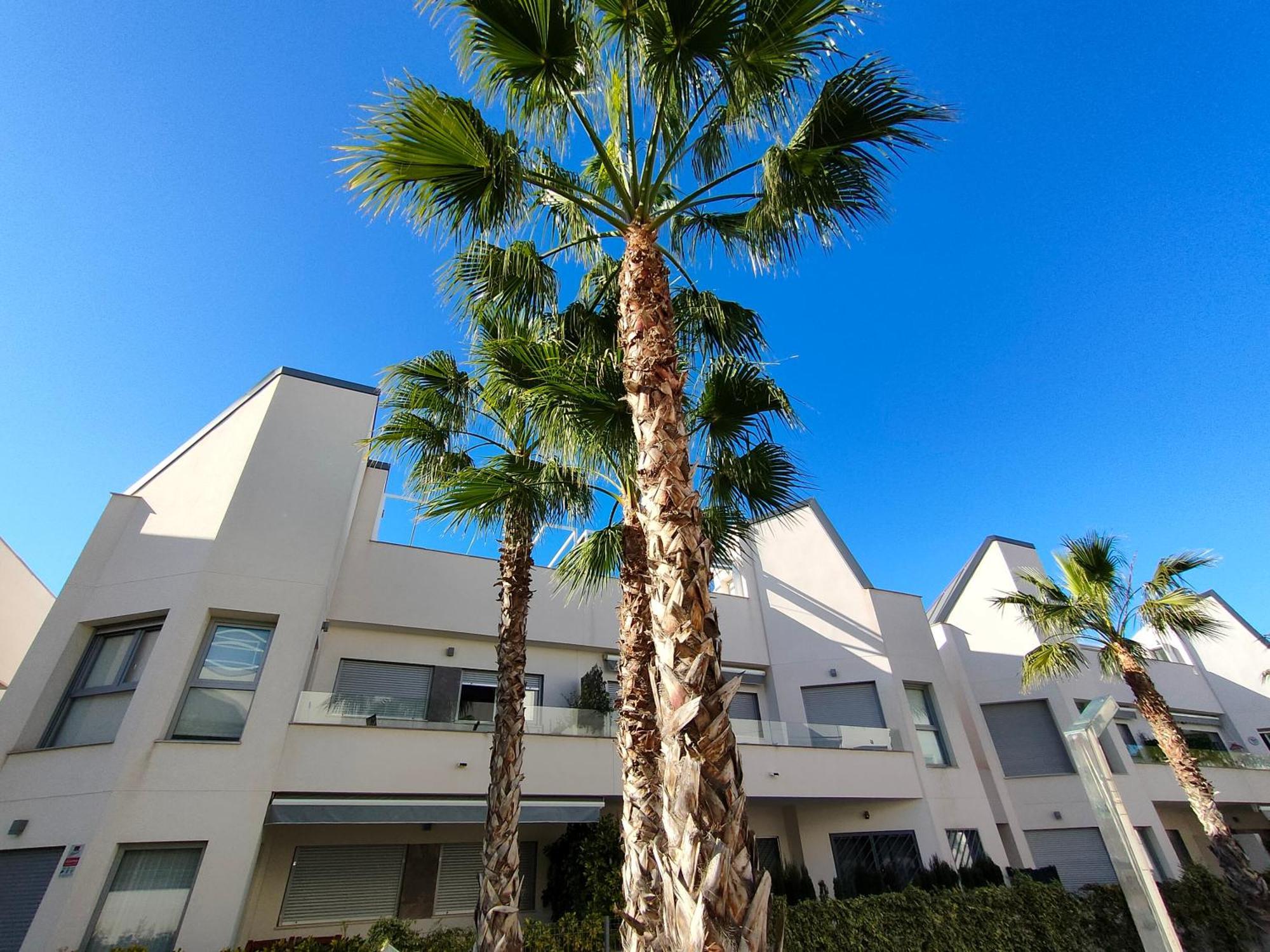 Villa Amalia Eco Torrevieja Phòng bức ảnh